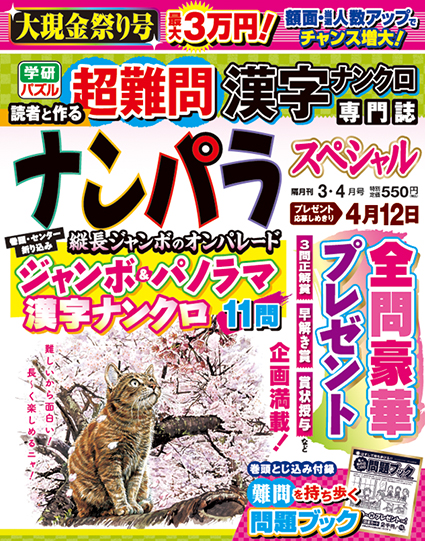 ナンパラスペシャル 3・4月号 パズルタイム
