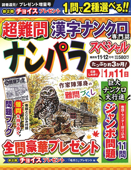 ナンパラスペシャル2024年11月号