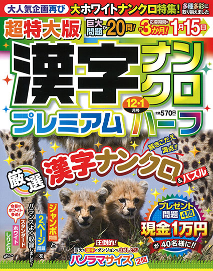 超特大版漢字ナンクロプレミアムハーフ2024年12月号